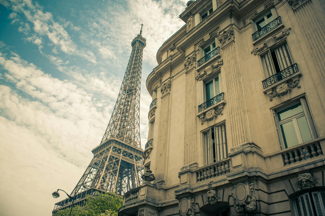Bed bug outbreak in Paris and London